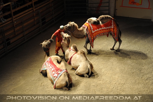 Die Hochzeit des Sultans 07