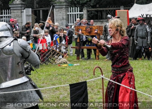 Ritter Schaukampf 11