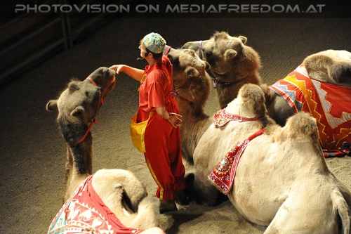 Die Hochzeit des Sultans 08: Romana Goldhahn