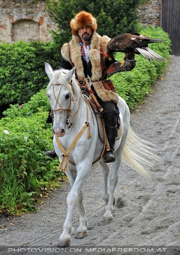 Greifvogel Vorf�hrung 41