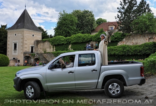 Greifvogel Vorf�hrung 45