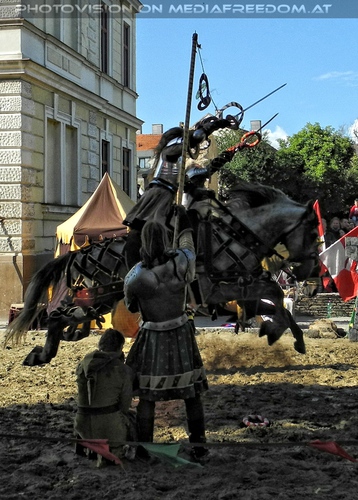 Das Ritterturnier 07