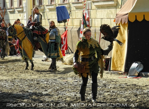 Das Ritterturnier 13