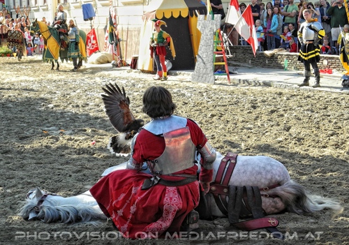 Das Ritterturnier 16