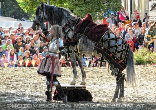 Das Ritterturnier 19