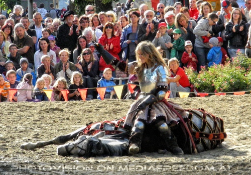 Das Ritterturnier 20