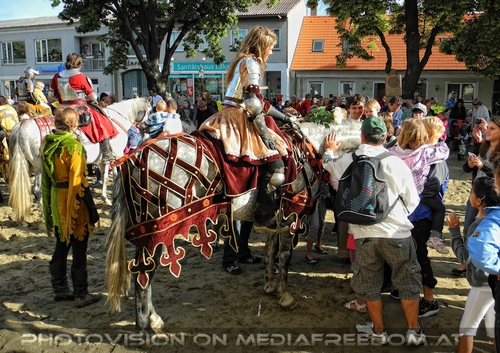 Das Ritterturnier 25