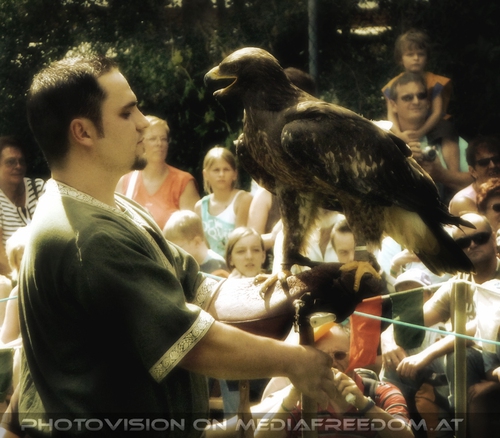 Greifvogel Vorf�hrung