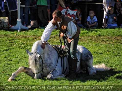 Renaissancefalkner 03