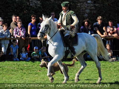 Renaissancefalkner 06