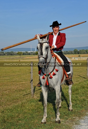 Die Pr�sentation 056