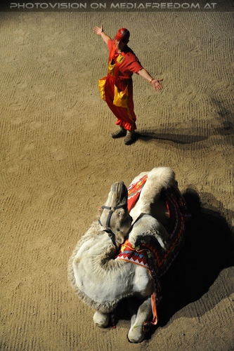 Die Hochzeit des Sultans 02