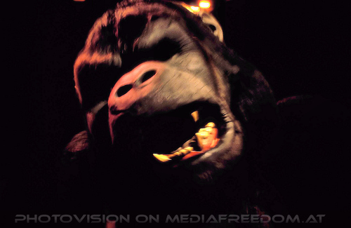 Universal Studios 10