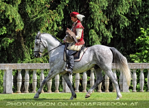 Greifvogel Vorf�hrung 25