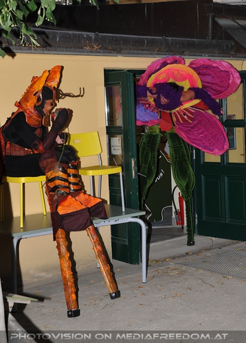 Wildlife and Nightlife - Pix 024