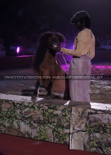 Magische Begegnungen 11