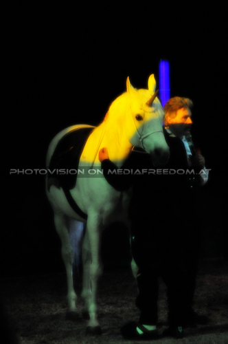 Misteri�ses Einhorn