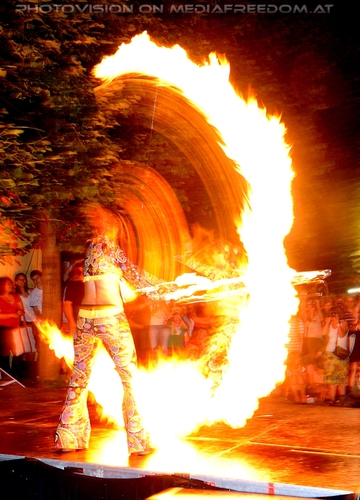 Wildlife and Nightlife - Pix 053