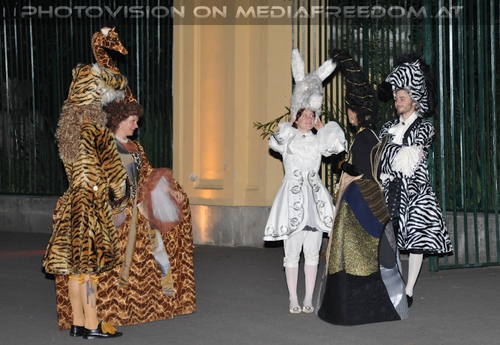 Wildlife and Nightlife - Pix 097