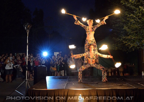 Wildlife and Nightlife - Pix 058