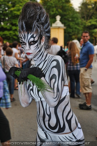 Wildlife and Nightlife - Pix 008