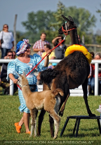 Die Pr�sentation 039