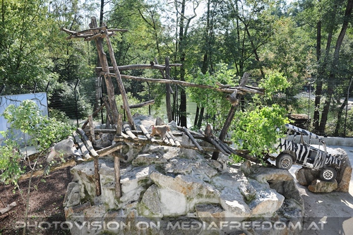 Er�ffnung Paviananlage 04