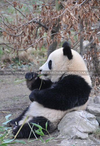 Was wird meine Zukunft wohl bringen?