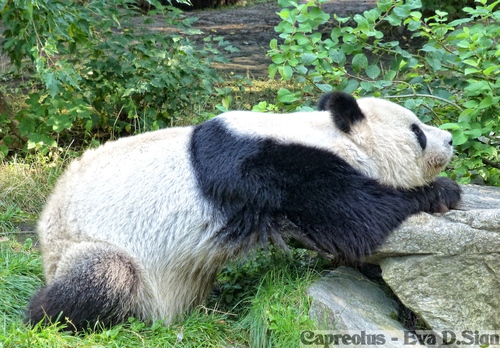 Mal ganz gem�tlich ....