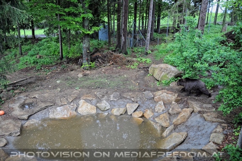 F�r vier Pfoten 07