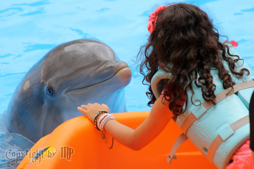 Delfin mit M�dchen
