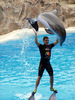 Delphinshow Loro Park