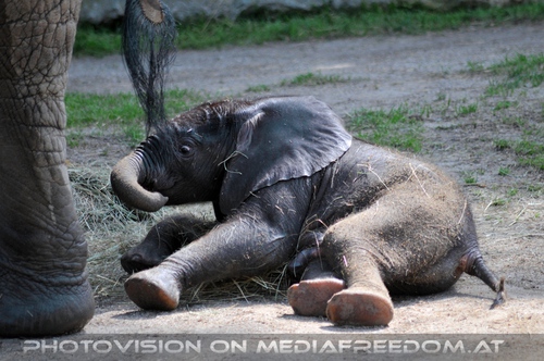 Baby Tuluba ausgelassen