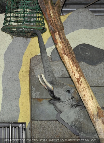 Wildlife and Nightlife - Pix 028