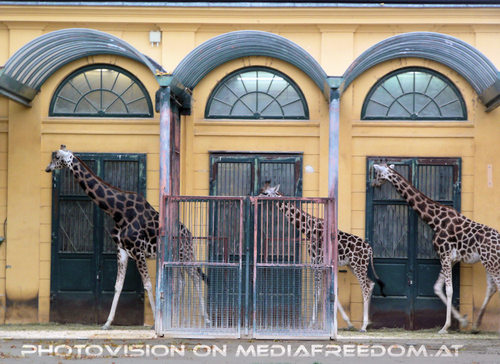 Familie - Gleichschritt marsch...