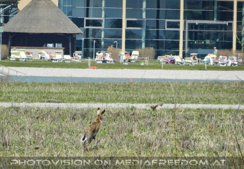 Thermenbereich Umgebung