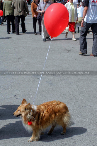 Tolerant gerecht sozial 36