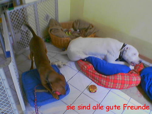 G�ste & Freunde: Beate Kavka