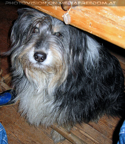 1000 sch�ne Dinge 16