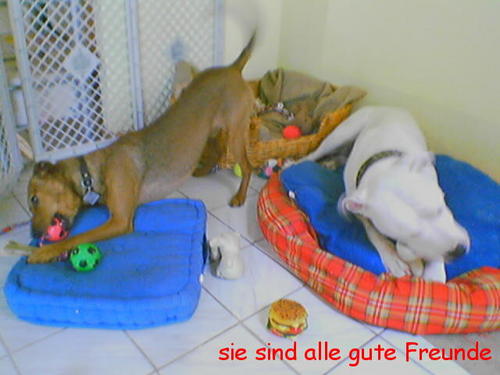 G�ste & Freunde: Beate Kavka