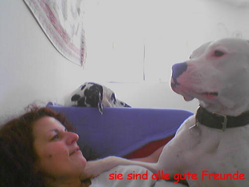 G�ste & Freunde: Beate Kavka