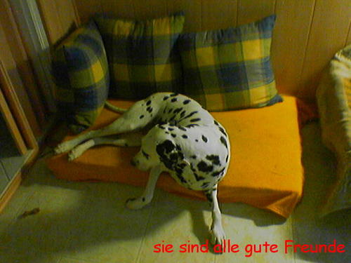 G�ste & Freunde: Beate Kavka