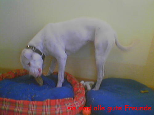 G�ste & Freunde: Beate Kavka