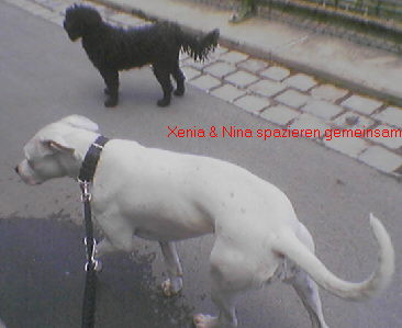 G�ste & Freunde: Beate Kavka