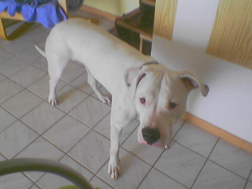 G�ste & Freunde: Beate Kavka