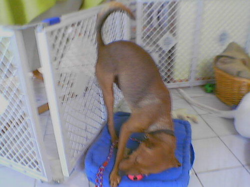 G�ste & Freunde: Beate Kavka