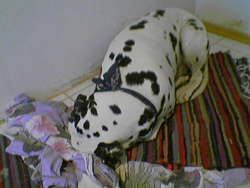 G�ste & Freunde: Beate Kavka