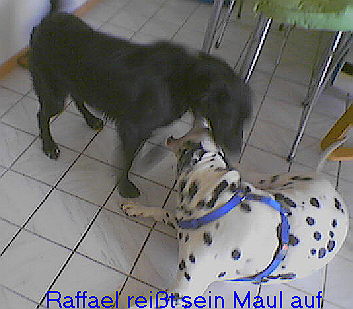 G�ste & Freunde: Beate Kavka