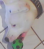 G�ste & Freunde: Beate Kavka