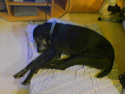 G�ste & Freunde: Beate Kavka